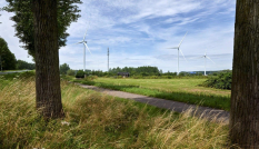 Windturbines met op de voorgrond een weiland